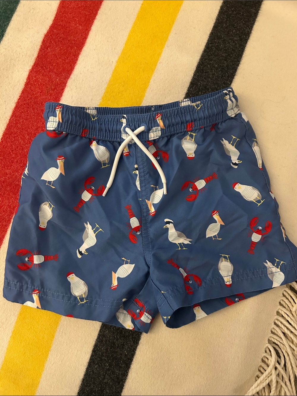 Janie and Jack Blue Seagull & Lobster Swim Shorts
